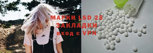 СК Ельня