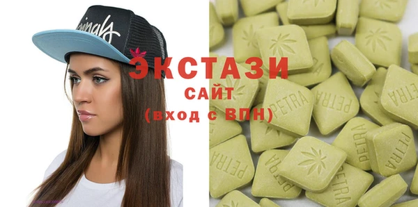 СК Ельня