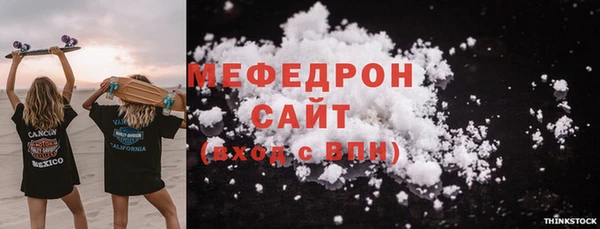 СК Ельня