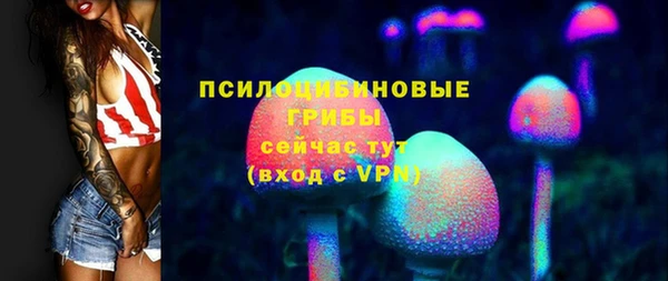 эйфоретик Липки