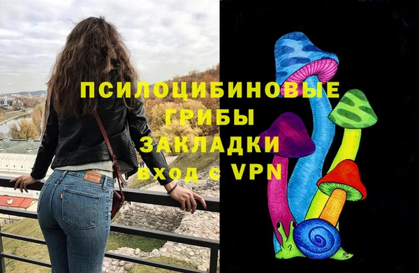 ECSTASY Елизово