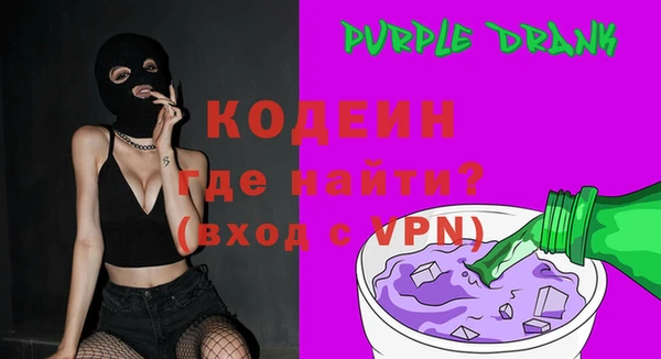 СК Ельня