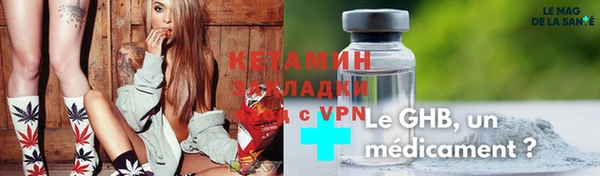 СК Ельня