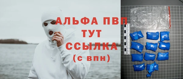 ECSTASY Елизово