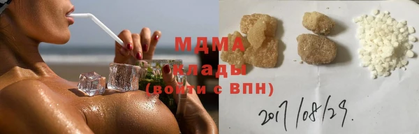 прущие грибы Дмитровск