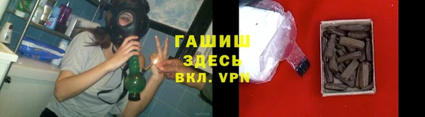 СК Ельня