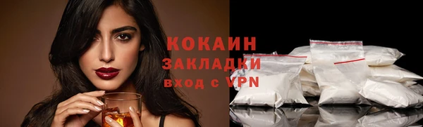 прущие грибы Дмитровск