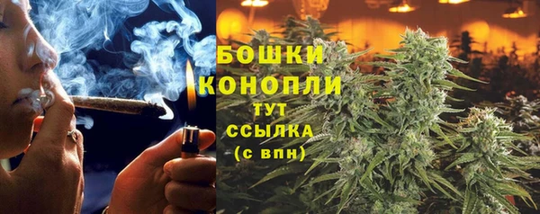 СК Ельня