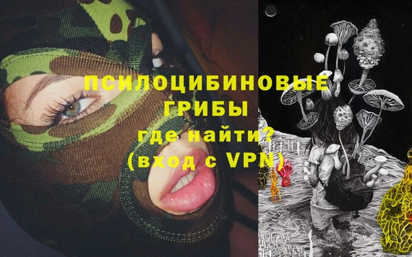 ECSTASY Елизово