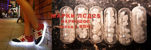 СК Ельня