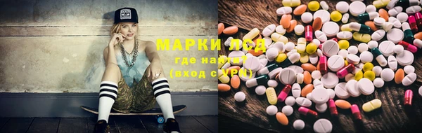 ECSTASY Елизово