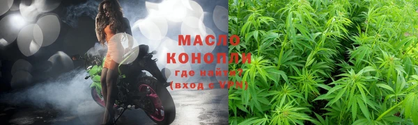 СК Ельня