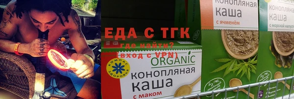 СК Ельня