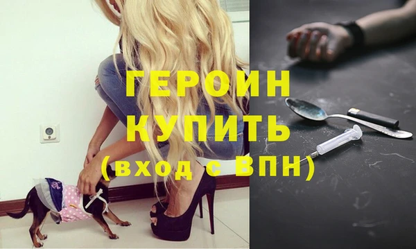 СК Ельня