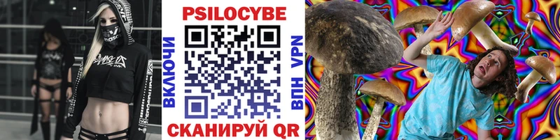 Псилоцибиновые грибы Psilocybine cubensis  площадка как зайти  Омутнинск 